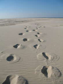 les pas dans le sable